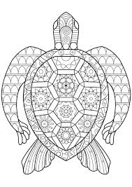 It is a slow but cute animal. Zen Turtle Turtles Adult Coloring Pages