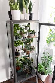 Maybe you would like to learn more about one of these? How To Hack An Ikea Glass Cabinet To Make A Greenhouse