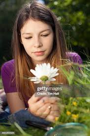 1,081 Girl Holding Daisy Stock Photos, High-Res Pictures, and Images