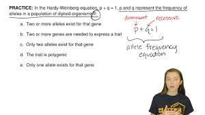 The hardy 'weinberg equation is tol biologists use to make predictions about … The Hardy Weinberg Equation Pogil Answers Key 23 The Hardy Weinberg Equation Key The Frequency Of Aa Is Equal To P2 And The Frequency Of Aa Is Equal To 2pq