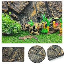 Image result for Terrarium Cling Background