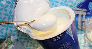 Griechischer joghurt ist besonders lecker! Griechischer Joghurt Dem Foodtrend Auf Der Spur