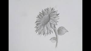 How To Draw A Realistic Sunflower With Easy Shading Youtube Welcome to this drawing tutorial!
