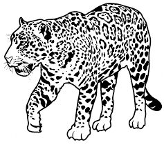 Free Jaguar Coloring Page Jaguar Animal Rainforest Animals Animal Coloring Pages