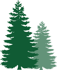We did not find results for: Pine Tree Clipart Free Images 3 Cliparting Com