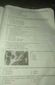 Share to twitter share to facebook share to pinterest. Contoh Soal Pilihan Ganda Tentang Kerajaan Sriwijaya Dapatkan Contoh