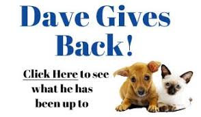 If you didn't already know, dave's has become synonymous with pet supplies and awesome doggonne great customer you'll find everything your pet or your palette could possibly need at dave's soda & pet food city! Pet Supplies Pet Food City Pets Food Animals Pet Store