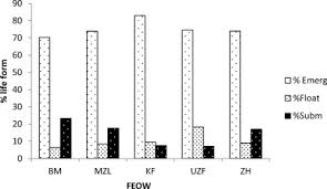 Image result for Eriocaulon teusczii