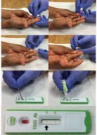 Both a blood pregnancy test and a home pregnancy test will identify the presence of the pregnancy hormone called human chorionic gonadotropin (hcg), and will determine if you are pregnant or not. Whole Blood Test For Toxoplasmosis Is Sensitive Specific Lab Manager