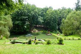 We did not find results for: Pond At Willow Winds Picture Of Asheville Cabins Of Willow Winds Tripadvisor