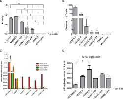 The information can be useful from medical and medicolegal. Generation Of Induced Pluripotent Stem Cells From Human Cord Blood Cell Stem Cell