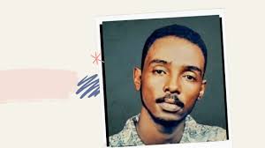 محمود عبد العزيز