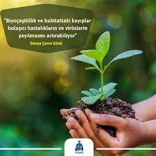 Birleşmiş milletler çevre konferansı, 5 haziran dünya çevre günü, atatürk'ün çevrecilik anlayışı i̇kinci dünya savaşı'nın ardından ise çevre hareketlerinde yeni bir karakter kazandı ve artan nüfus ile. Tusad 5 Haziran 2020 Dunya Cevre Gunu Basin Bildirisi