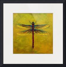 Black And Yellow Dragonfly Canada Dragonfly Lexie By Sheryl Bunnage With Images Dragonfly Artwork Dragonfly Art Art