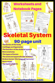 Skeletal System Unit With Images Skeletal System Unit Body Systems Worksheets Skeletal System Activities