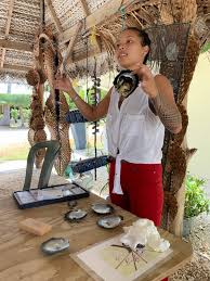 Image result for Faroa affinis