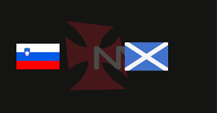 NETVASCO