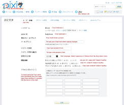 Pixiv Guide: Profile & Browsing Customization with Pixiv's New Site Options  | Plastic Pleasures