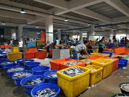 Sumber energi pangan (sep) merupakan salah satu anak perusahaan triputra group yang bergerak di industri pangan. Sah Perindo Resmi Berbadan Hukum Perseroan