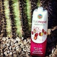 0 grams fiber 0 mg cholesterol 0 grams saturated fat 0 mg sodium 5 grams sugar 0 grams trans fat. Cactus Water True Nopal Truenopal Com Cactus Water Refreshing Drinks Cactus