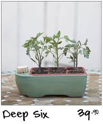 products starter garden, seed pots
