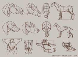 Pin On Animals