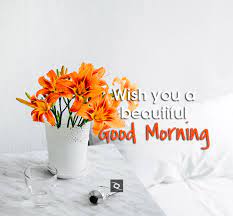 30 Sweet Good Morning Wishes Images Free Download 5 Good Morning Wishes Good Morning Thursday Good Morning Flowers