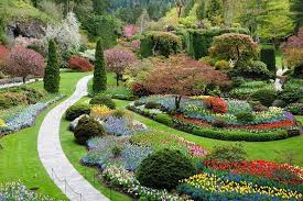 Butchart Gardens In Victoria, Bc 2024 Visitor Travel Guide & Trip Planner