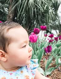 New Orleans City Park