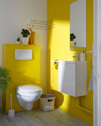 Über 7 millionen englischsprachige bücher. Quelle Peinture Wc Choisir Sans Faire D Erreur Deco Cool