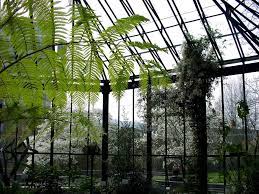 old botanical garden botanischer garten zurich