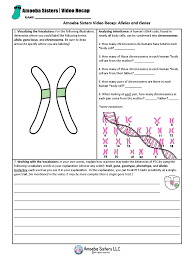In a monohybrid cross two plants or animals, which differ at only one gene, are bred together. Alleles And Genes Handout Pdf Allele Phenotypic Trait