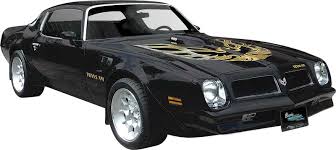 It's not a special edition. 1973 1978 All Makes All Models Parts 7378l06 1973 78 Trans Am