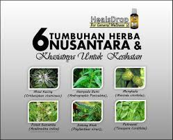 Kami pembekal pelbagai jenis bunga segar dan anak pokok dari terus kepada anda secara borong dan runcit. Azbudi Pusat Pakar Perubatan Homeopati Naturopati Healsdrop 6 Jenis Tumbuhan Herba Nusantara Yang Terkenal Dalam Dunia Perubatan Tradisional Dan Komplementari