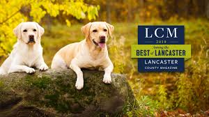 We will provide your furry family members with the best possible care! Landisville Animal Hospital Best Of Lancaster Veterinary Care