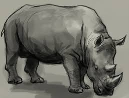 Most western artists cannot draw an elephant accurately. How To Draw Rhino Drawing And Digital Painting Tutorials Online