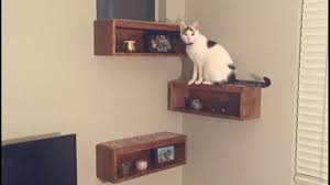Step by step build cat stairs on the wall. Wall Mounted Stairs For Cats Behind The Scenes Of A Feline Dream Habitat Cat Veteran