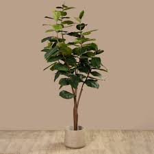 A type of ficus plant, rubber trees bring the beauty of the outdoors in. Artificial Rubber Plant Bloomr