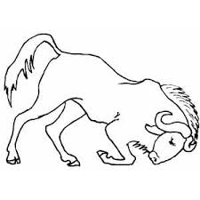 We did not find results for: Water Buffalo Coloring Sheet