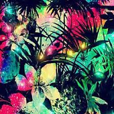 Mystic Rose The_psychedelic_garage - Profile Pinterest