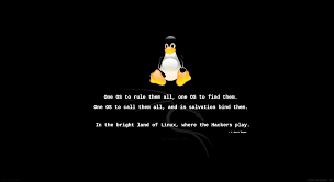 It comes baked in with a lot of tools to make it easier for you to test, hack, and for anything else related to digital forensics. Wallpapers Linux Posted By Michelle Tremblay
