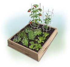 Check spelling or type a new query. Easy 4 X 4 Summer Garden Bonnie Plants Vegetable Garden Planning Vegetable Garden Planner Raised Garden