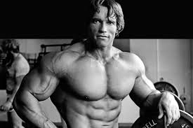 arnold schwarzeneggers diet and workout plan man of many