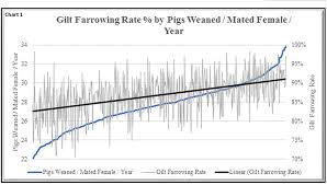 Does Gilt Farrowing Rate Predict Future Farm Performance