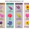 We also talk about flowers to help them through the winter. 1
