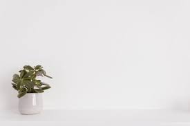 Background white wall wallpapers and backgrounds available for download for free. 90 000 Best White Wall Photos 100 Free Download Pexels Stock Photos