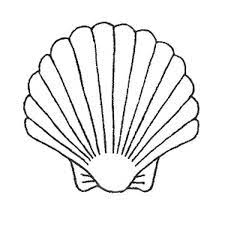 Seashells are such an inexpensive way to add color and texture to your decor and these 60 different concepts will hopefully inspire you to put them to good use. Pink Ink Wood Mount Stamp Clam Shell Shell Drawing Coral Drawing Shell Tattoos