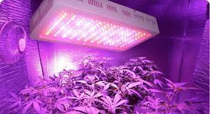 Check spelling or type a new query. Commercial Led Grow Lights Guide 2020 Shopgrowspaces