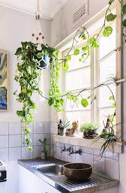 5 Plantas Faceis De Cuidar Para Ambientes Internos Http Universoinspiracao Com Br P 2046 Http Amz Decoration Naturelle Appartement Boheme Maison Retro