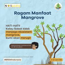 Mangrove, si benteng pertahanan alami ini memiliki beragam manfaat, tidak  hanya untuk lingkungan sekitarnya, juga bagi makhluk hidup yang bergantung  pada ekosistem ini. NOLIPEDIA kali ini, Eli bakal jelasin tentang beragam  manfaat